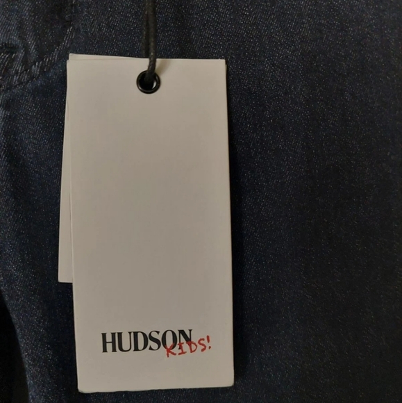 NEW HUDSON KIDS GIRLS CHRISTA SUPER STRETCH SKINNY JEANS - Picture 10 of 10